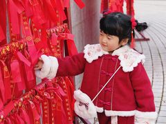 -武汉紫薇都市田园