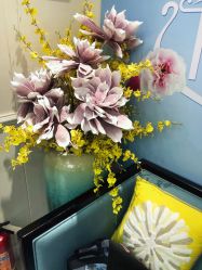 -静博士·养生养颜