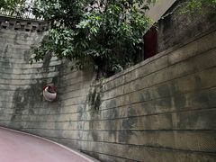 -白象居