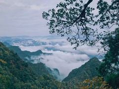 -塔云山