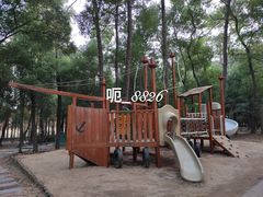 -东湖落雁景区