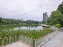 -渭滨公园