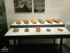 -四川大学博物馆