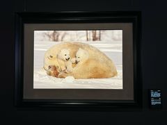 -罗红摄影艺术馆