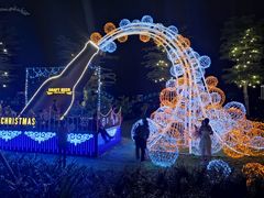 -Draft Beer Restaurant & Bar