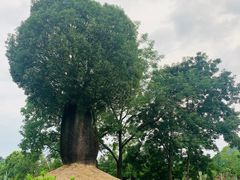 -Club Med地中海俱乐部·桂林度假村