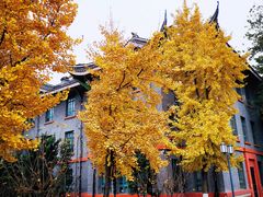 -四川大学(华西校区)