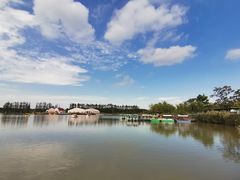 -上海长兴岛郊野公园