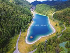 -武陵山森林公园