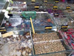 -明记海鲜大排档(巽寮湾店)
