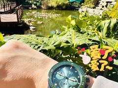 -新世界百货(明洞总店)