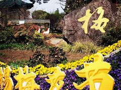 -无锡梅园公园