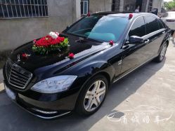 -宁波甬诚婚车(新典路店)