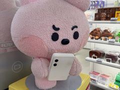 -line friends(明洞旗舰店)