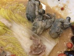 -东来顺饭庄·火锅(环岛店)
