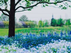 -上海辰山植物园