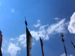 -黄龙山原始森林景区