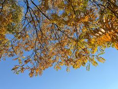 -白塘生态植物园