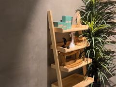 -施奈儿.洗头頭療.按摩SPA.采耳(上梅林店)