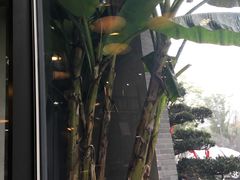 -吴越荣记·苏州菜·松鼠桂鱼(斜塘老街店)