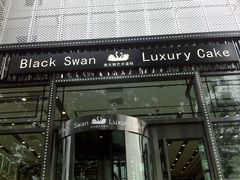 门面-BLACKSWAN黑天鹅(环球店)