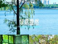 -海珠湖公园
