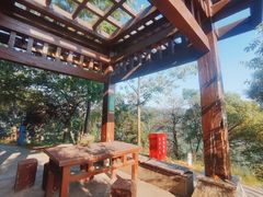 -桃花岭景区