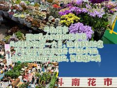 -南屏步行街