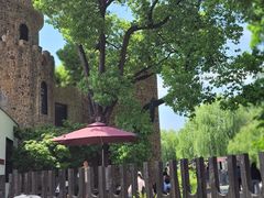 -J Create城市露营咖啡·简餐·宠物(上海动物园店)