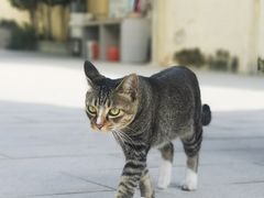 -伦教678文化街