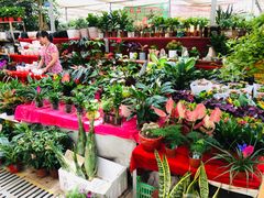 -秦美花卉(天朗·莱茵小城2期店)