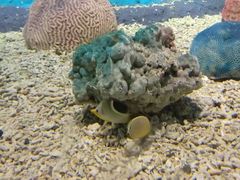 -北戴河圣蓝海洋公园