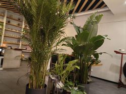 -芳香乐府疗愈空间·SPA·冥想