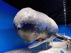 -青岛海底世界-水族馆