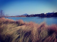 -羊山湖公园