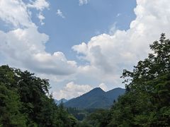 -龙苍沟森林公园