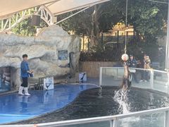 -泉州海丝野生动物世界
