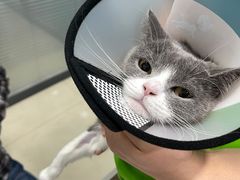 -荔康动物医院(康王北路店)