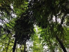 -捞渔河湿地公园