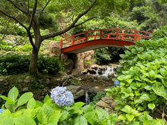 -鼓岭旅游度假区