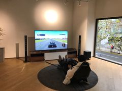-Sony Store 索尼(上海淮海中路店)