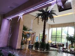 -常州环球恐龙城维景国际大酒店