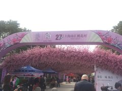 -南汇桃花村