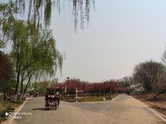 -石家庄市植物园