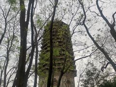 -玲珑塔公园