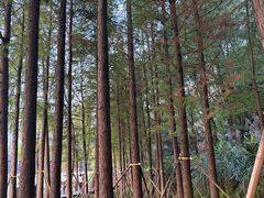 -重庆彩云湖湿地公园