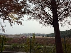 -嘉北郊野公园