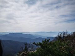 -王顺山国家森林公园