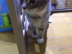 -大猫儿轰趴·团建·年会聚会(朝外店)