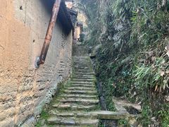 -杨家堂村